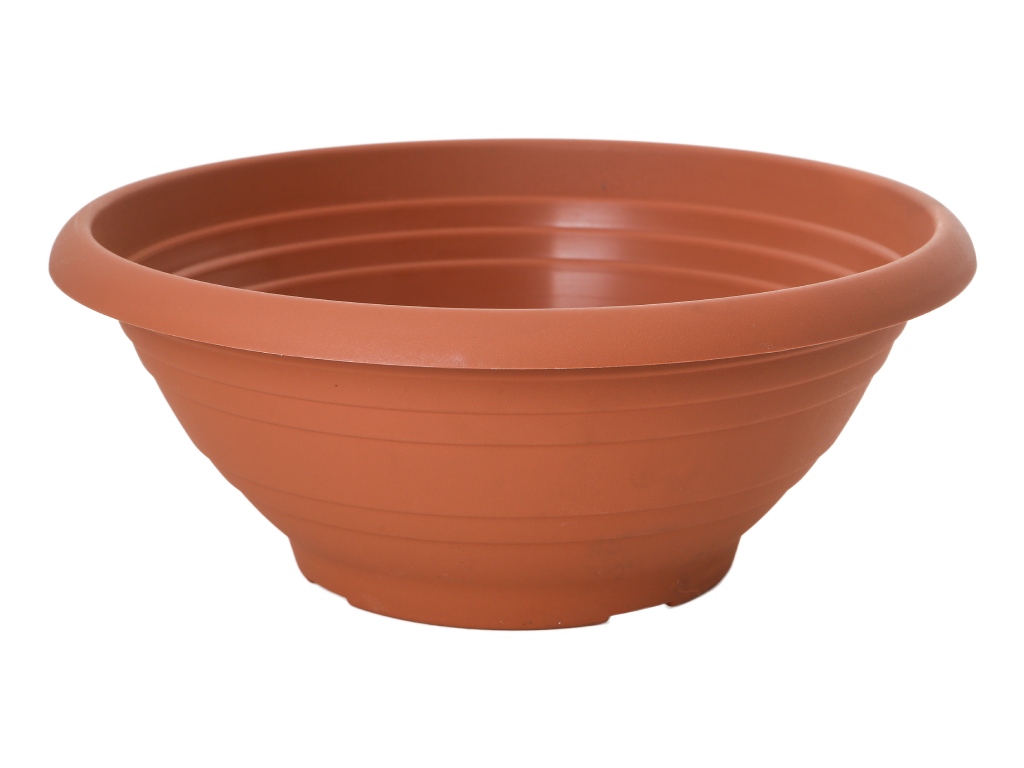 Blumenschale 985 Cortina